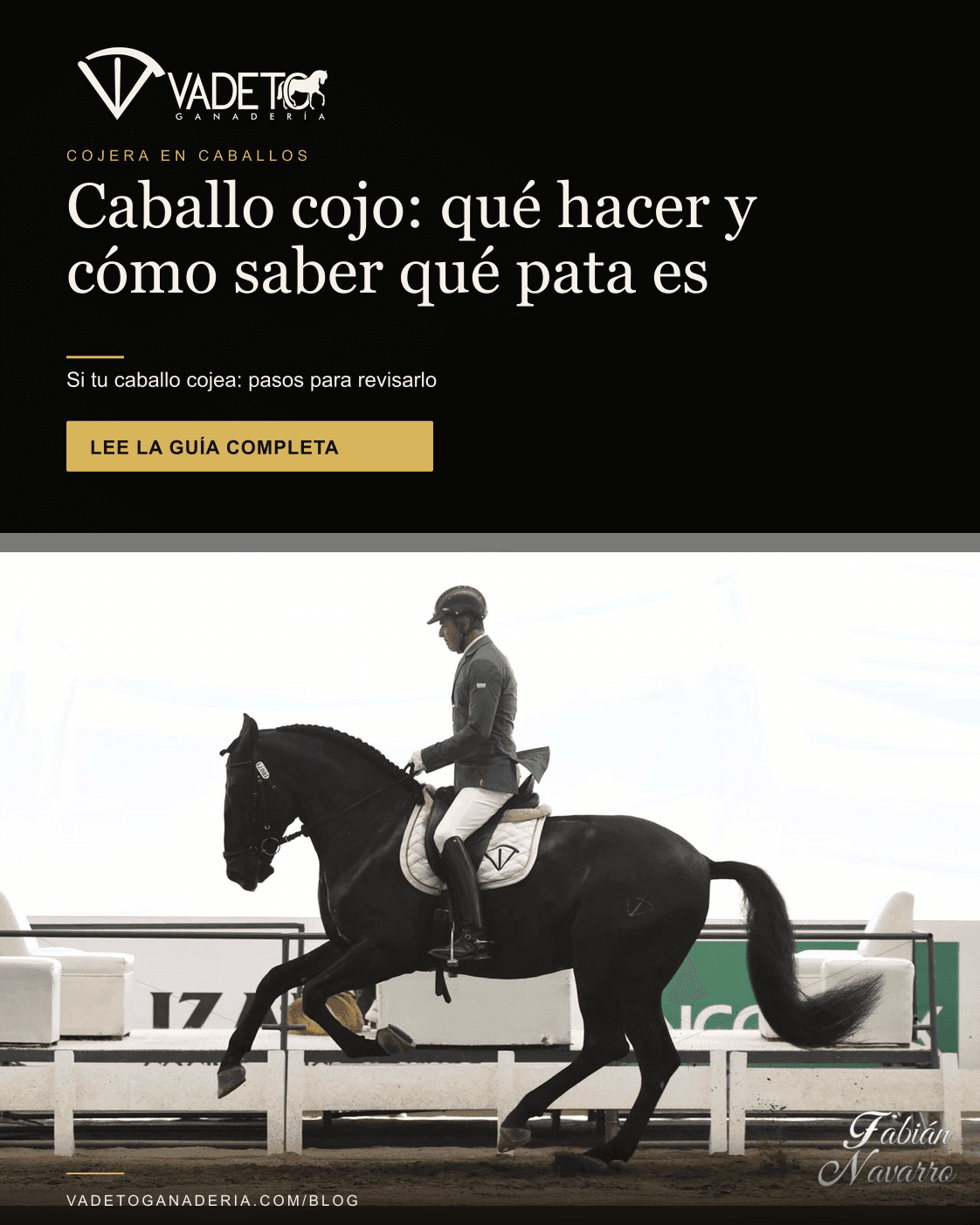 Portada editorial de Vadeto: Caballo cojo: qué hacer y cómo saber qué pata es