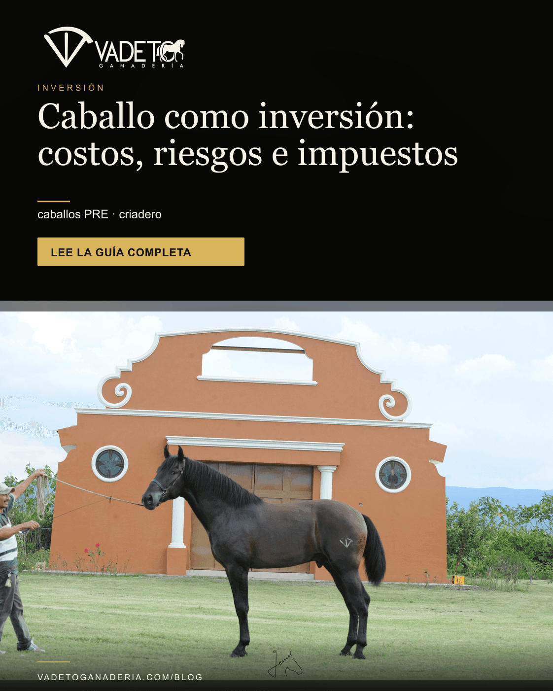Portada editorial de Vadeto: Caballo español como inversión: costos e impuestos