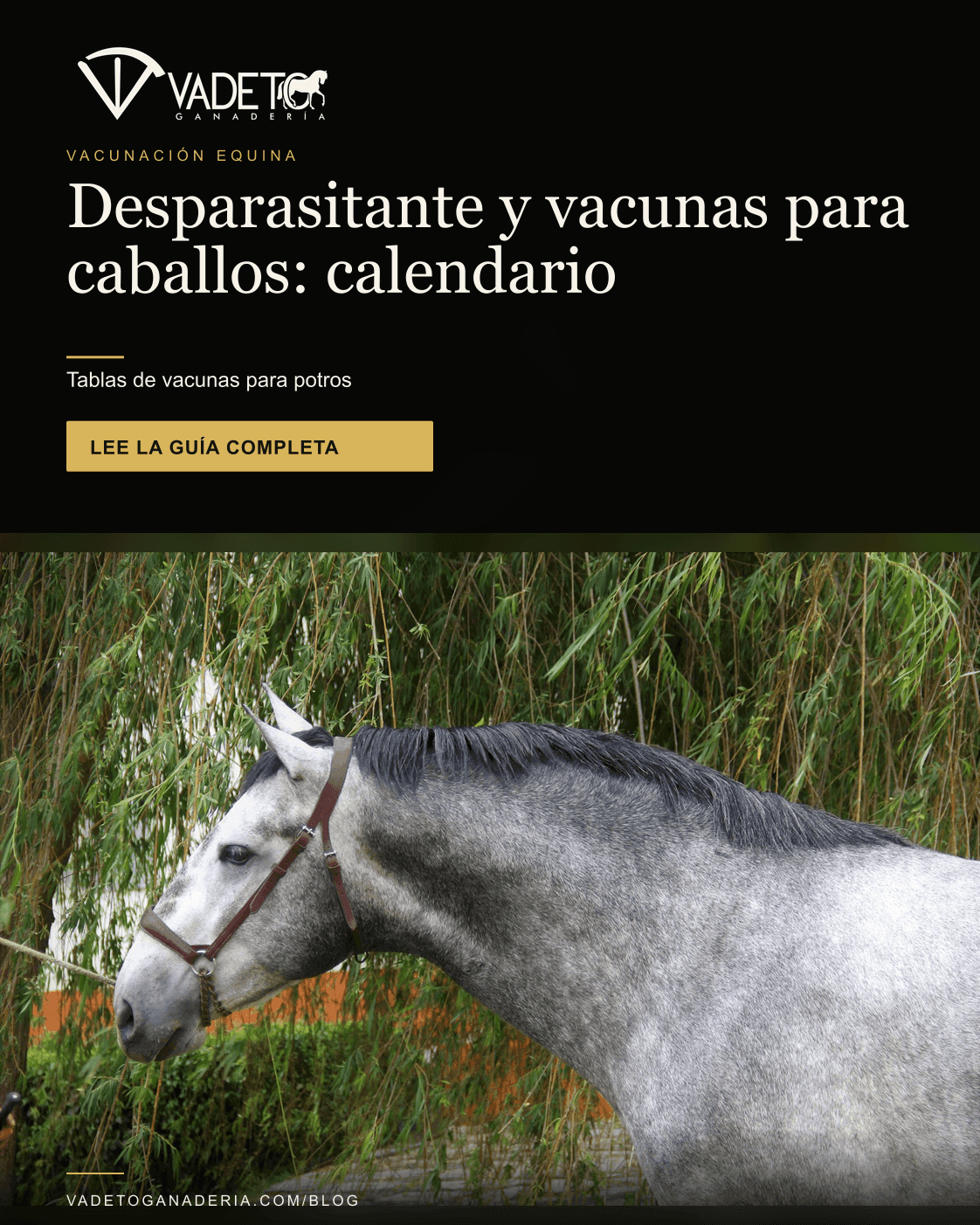 Portada editorial de Vadeto: Calendario de vacunas y desparasitación equina