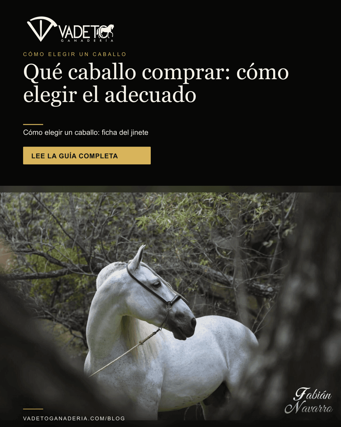 Portada editorial de Vadeto: Cómo elegir un caballo: ficha, matriz y prueba