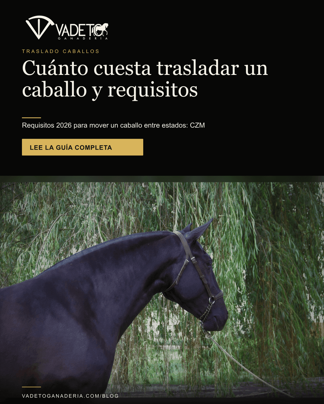 Portada editorial de Vadeto: Trasladar un caballo entre estados: requisitos 2026