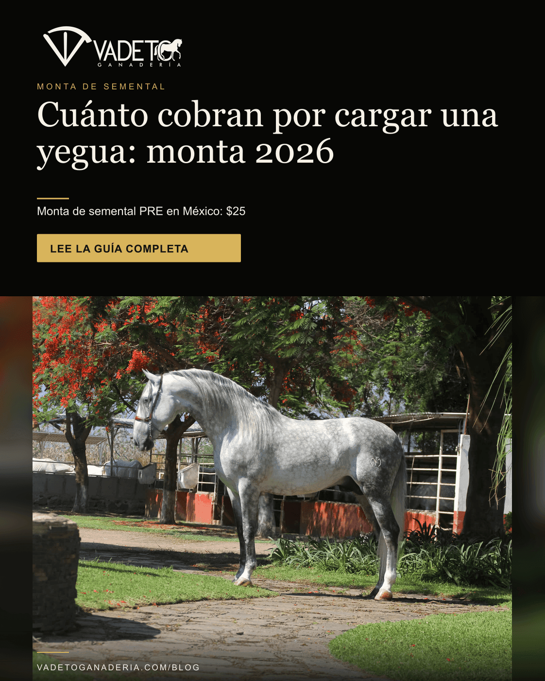 Portada editorial de Vadeto: Cuánto cuesta la monta de un semental en 2026