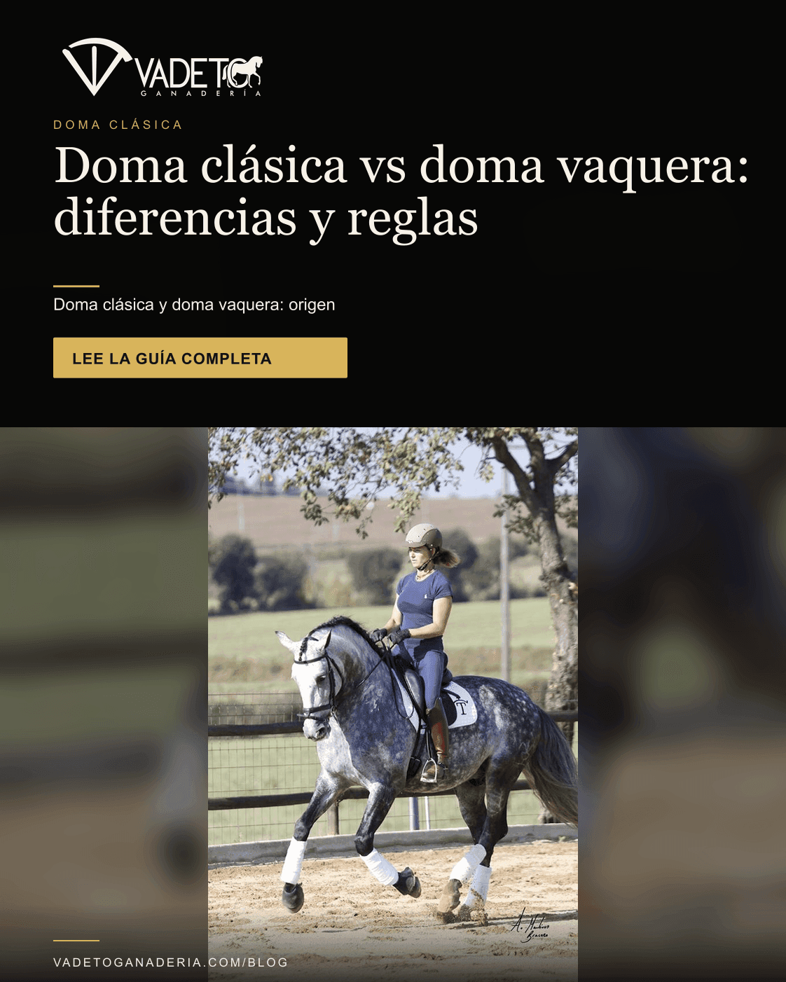 Portada editorial de Vadeto: Doma clásica vs doma vaquera: diferencias y reglas