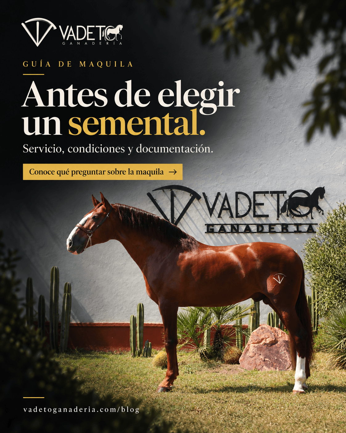 Diseño de Vadeto Ganadería: Antes de elegir un semental