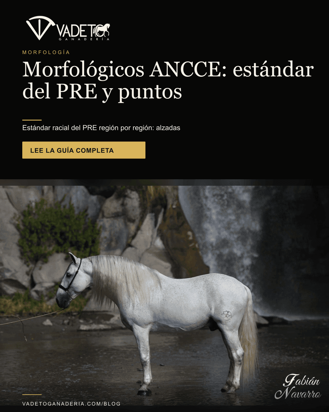 Portada editorial de Vadeto: Morfología del PRE: estándar ANCCE y concursos