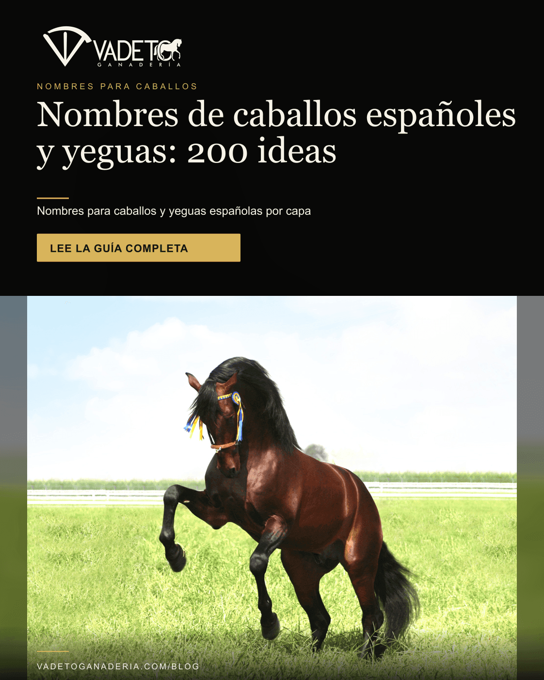 Portada editorial de Vadeto: Nombres para caballos españoles y yeguas: 200 ideas