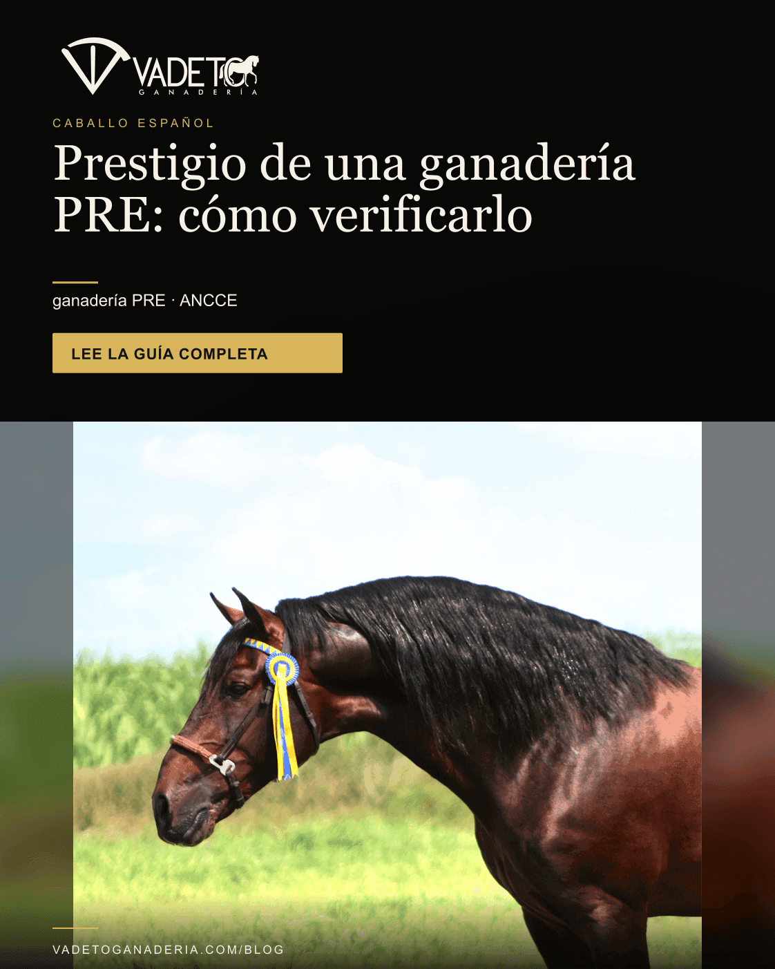 Portada editorial de Vadeto: Prestigio de una ganadería PRE: cómo verificarlo