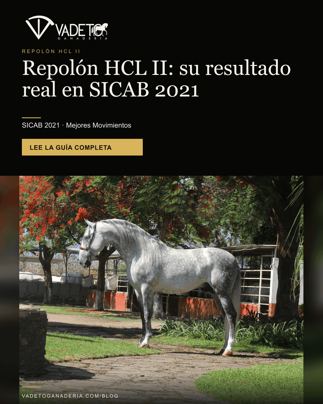 Portada editorial de Vadeto: Repolón HCL II: su resultado real en SICAB 2021