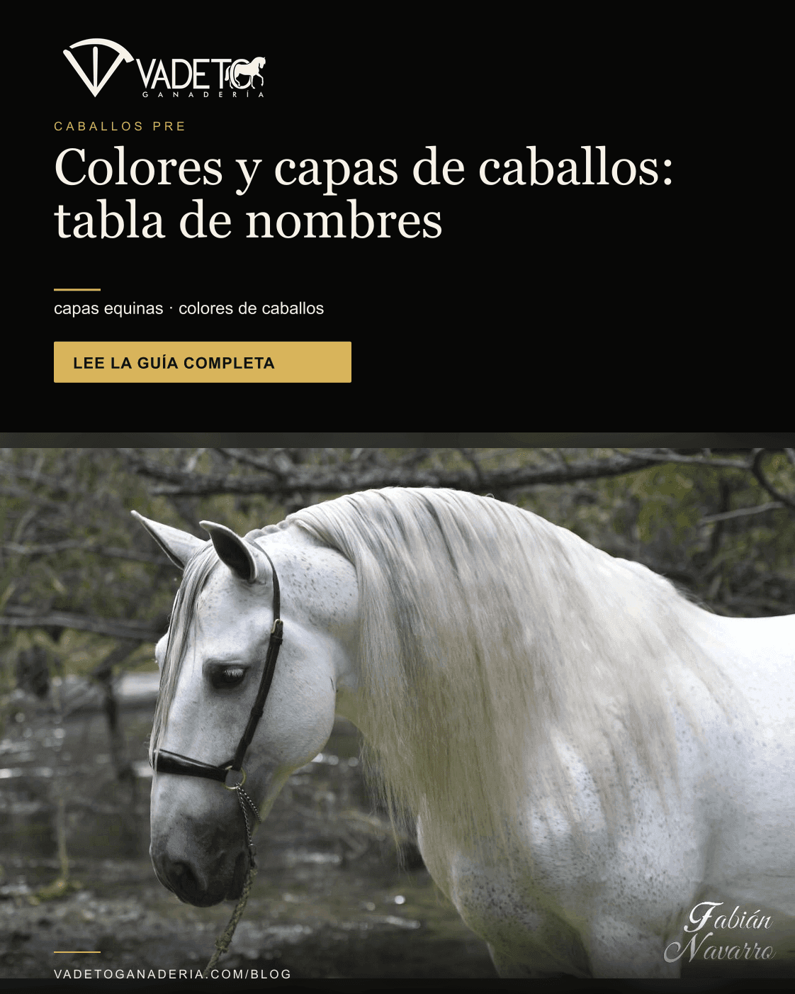 Portada editorial de Vadeto: Colores y capas de caballos: tabla de nombres