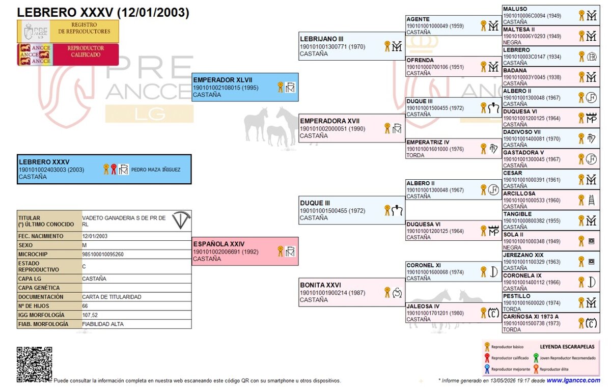 Genealogía de Lebrero XXXV