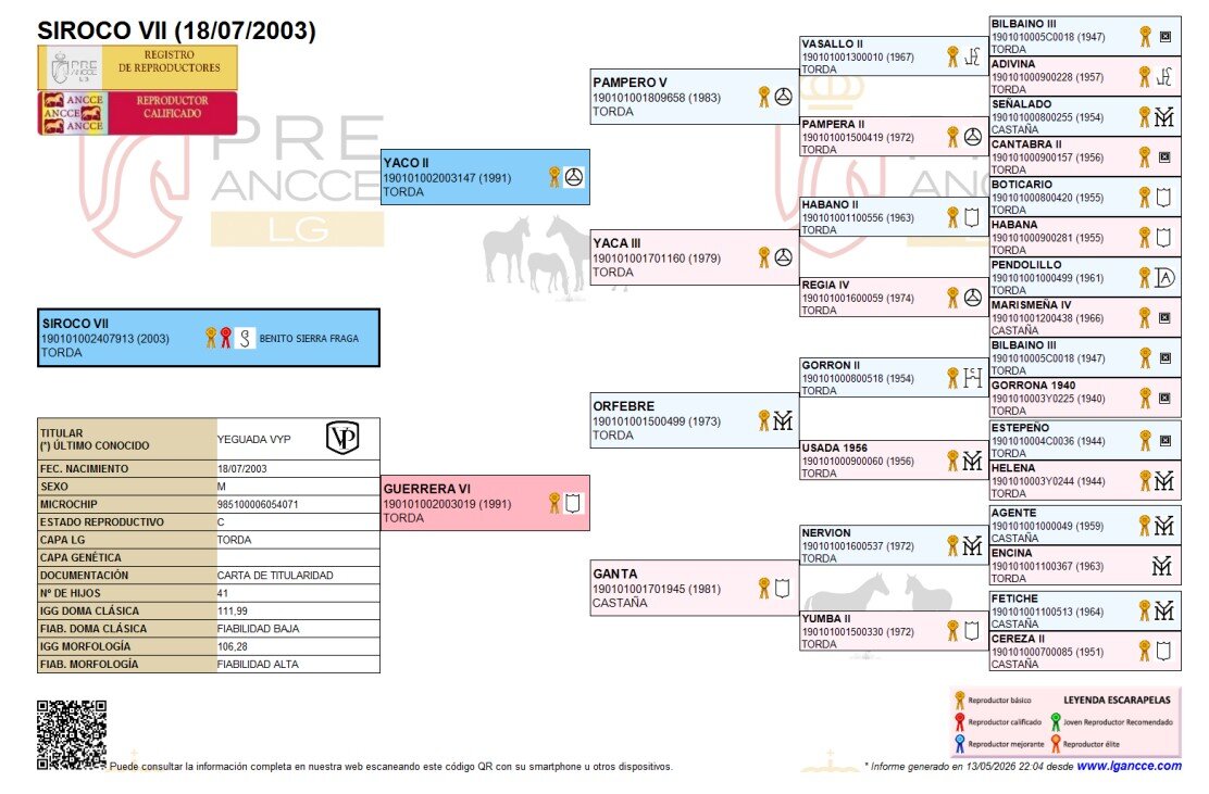 Genealogía de Siroco VII