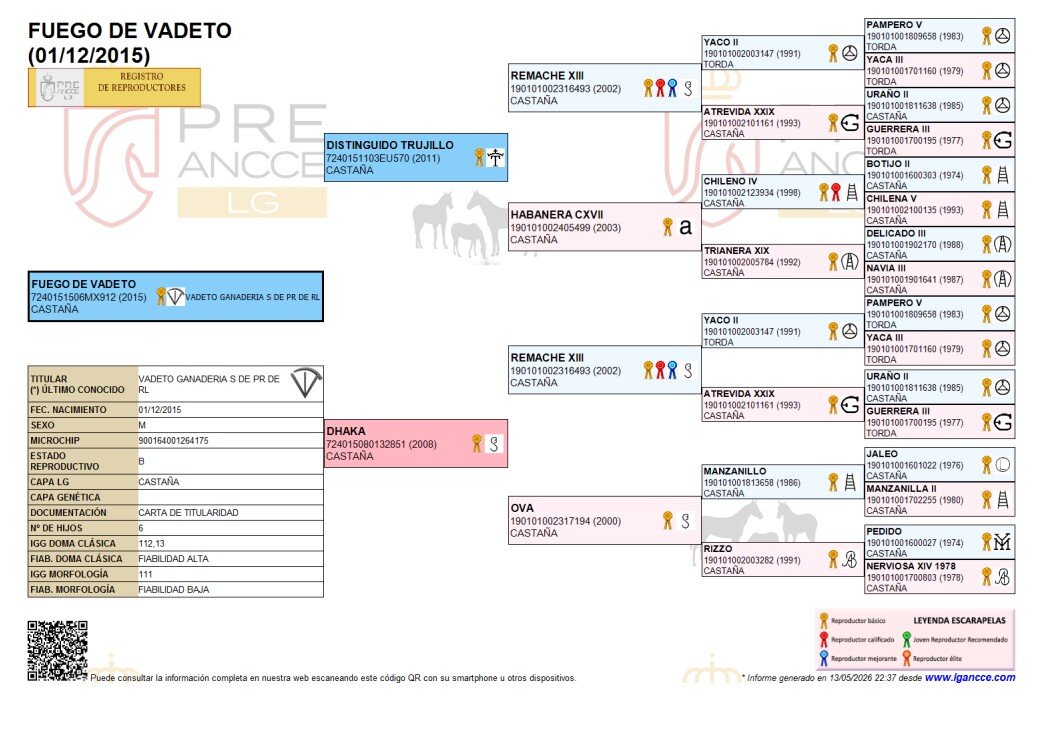 Genealogía de Fuego de vadeto