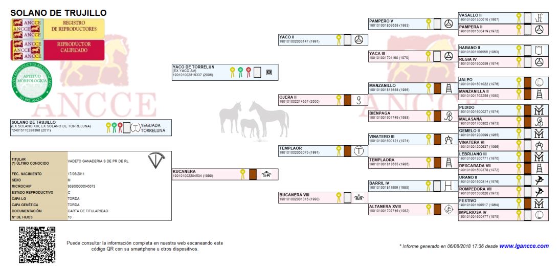 Genealogía de Solano de Trujillo