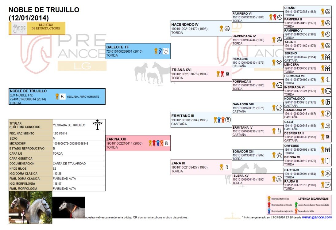 Genealogía de Noble de Trujillo