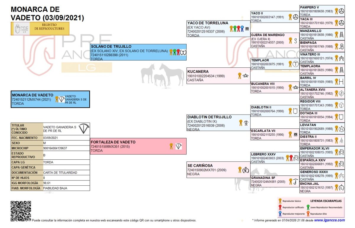 Genealogía de Monarca de Vadeto 