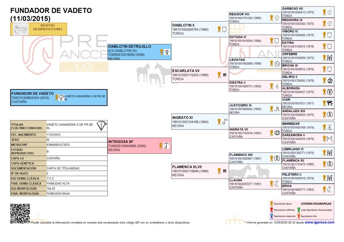 Genealogía de Fundador de Vadeto
