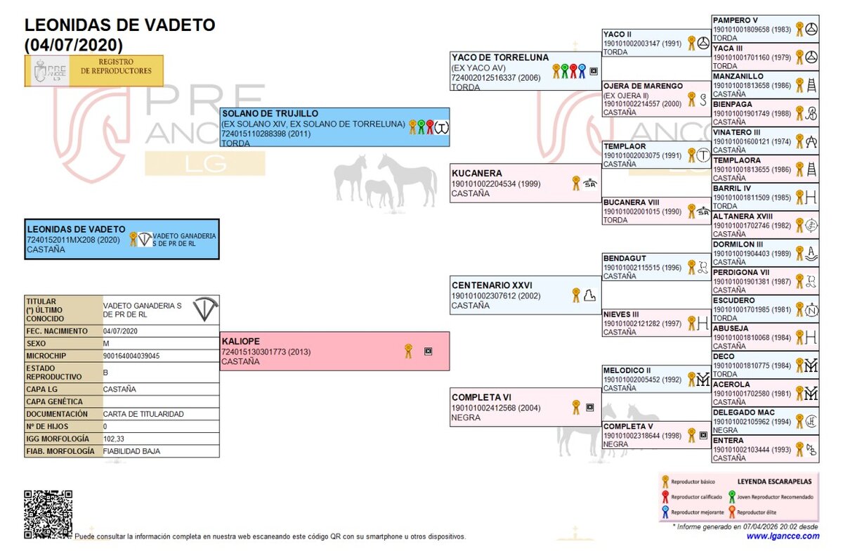 Genealogía de Leonidas de vadeto