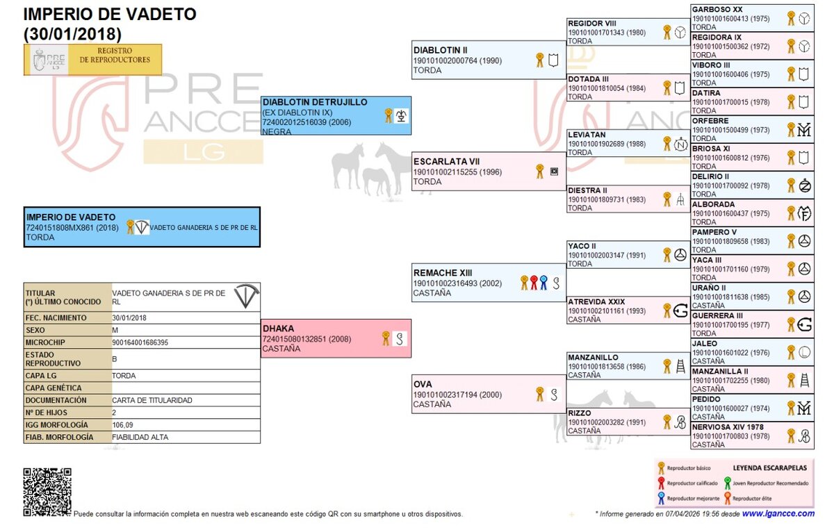 Genealogía de Imperio de vadeto