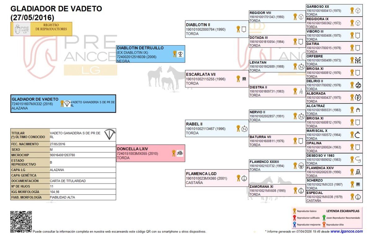 Genealogía de Gladiador de Vadeto