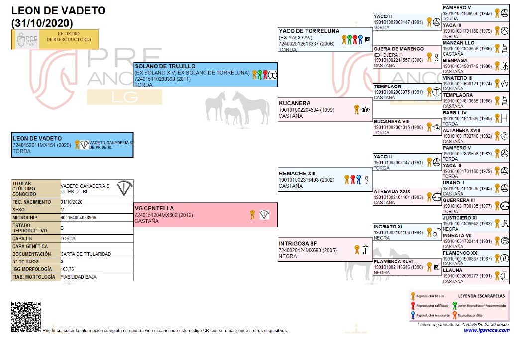 Genealogía de León de vadeto