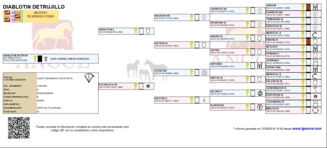 Genealogía de Diablotin De Trujillo