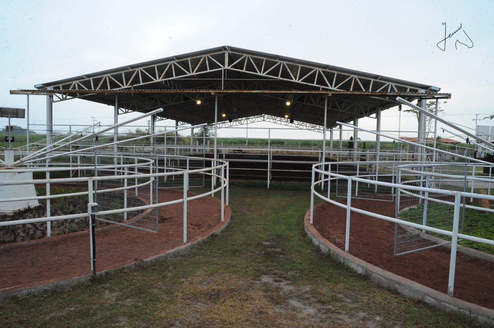 Área de trabajo techada del rancho con pasillos de tierra roja delimitados por barandales blancos, en día nublado